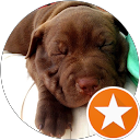 Lucía Larra profile picture